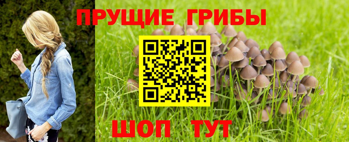 Псилоцибиновые грибы Psilocybine cubensis  Псилоцибиновые грибы Psilocybe  Вход с VPN  закладки  Нарткала 